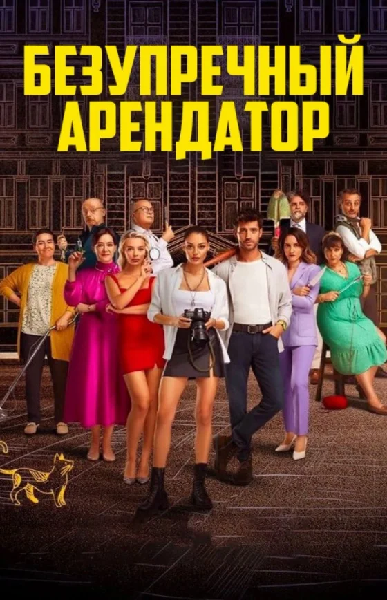 Идеальный арендатор 1-5, 6 серия турецкий сериал на русском языке смотреть онлайн бесплатно все серии